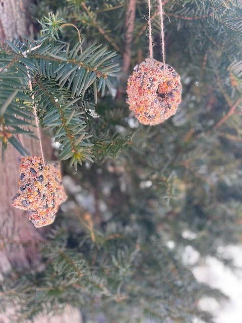 Bird Food Hanging Ornaments