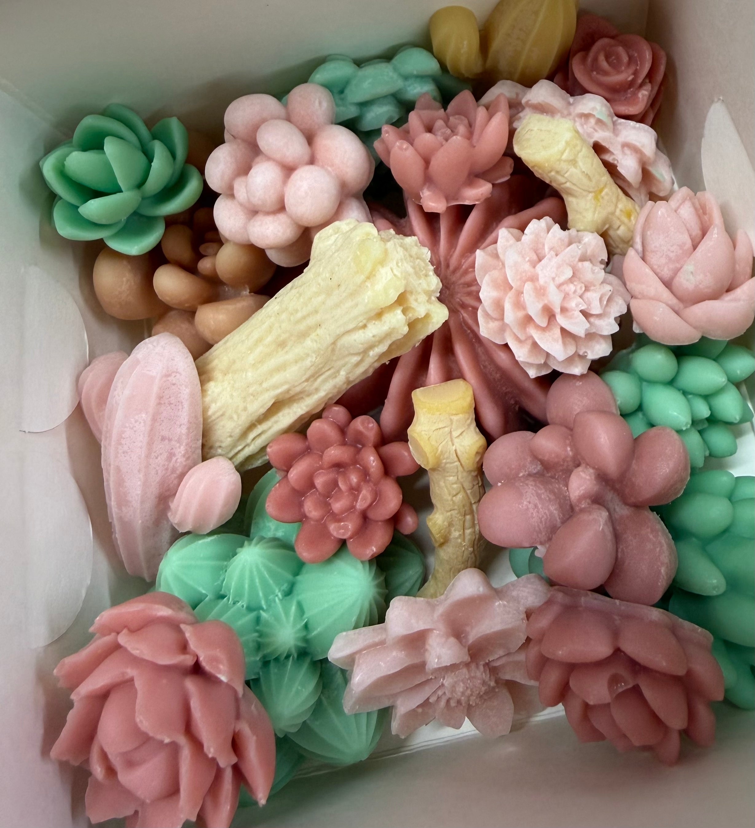 Wax Melt Boxes - Desert Sands